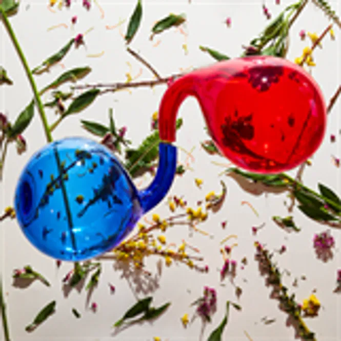 Hovedbilde Dirty Projectors-Lamp Lit Prose-LTD