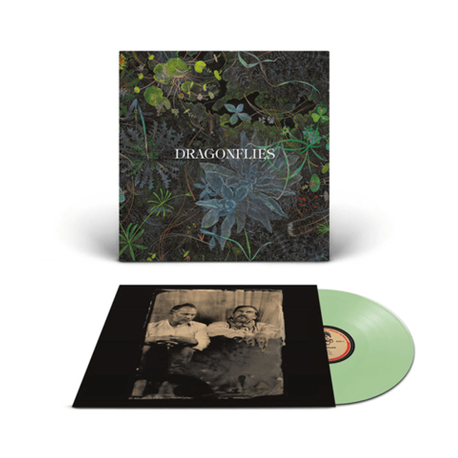 Hovedbilde Dragonflies-Dragonflies(LTD)