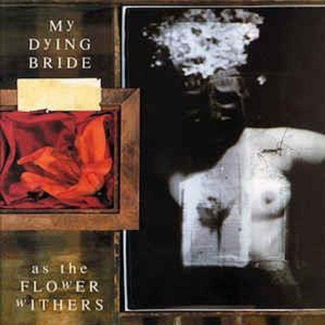 Hovedbilde My Dying Bride  As The Flower Withers