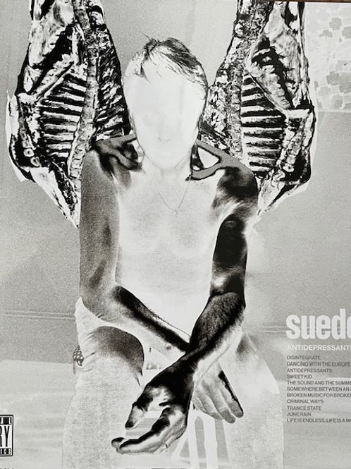 Hovedbilde Suede-Antidepressants - LTD Indie