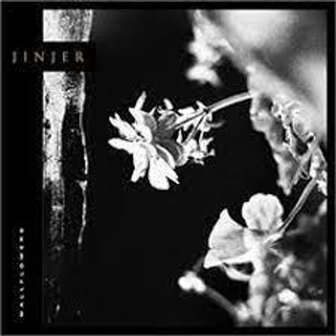 Hovedbilde Jinjer-Wallflowers